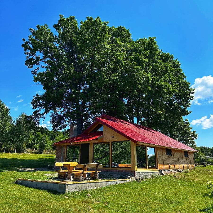 Casuta Din Stejari-Transalpina Novaci-Străini Exterior foto