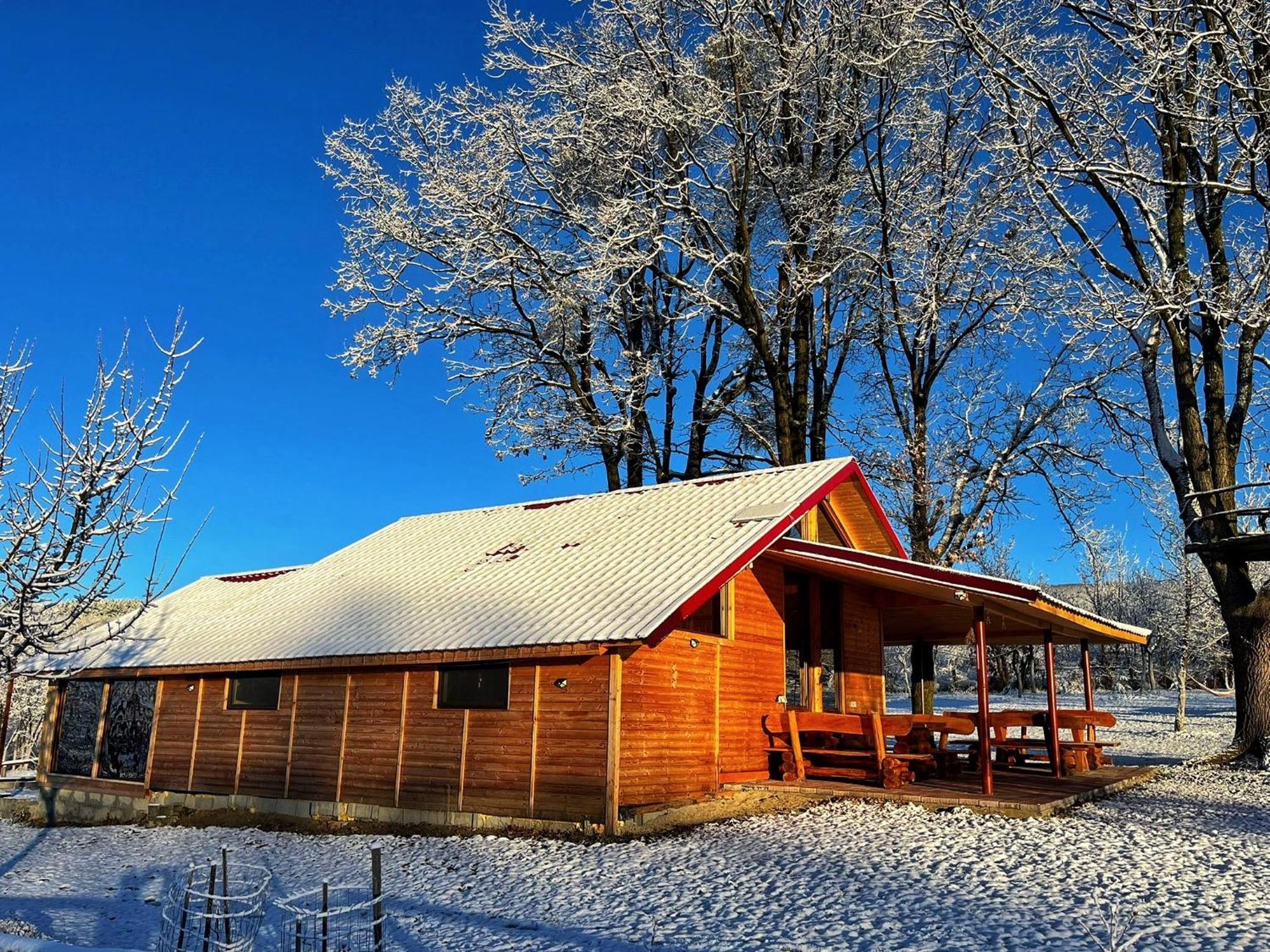 Casuta Din Stejari-Transalpina Novaci-Străini Exterior foto