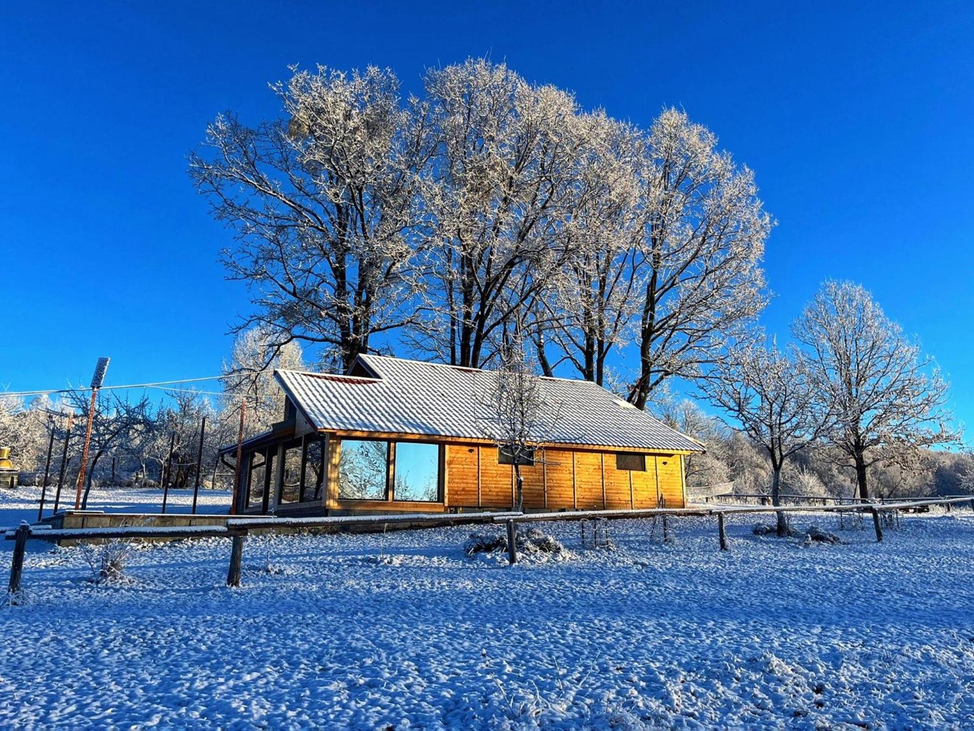 Casuta Din Stejari-Transalpina Novaci-Străini Exterior foto