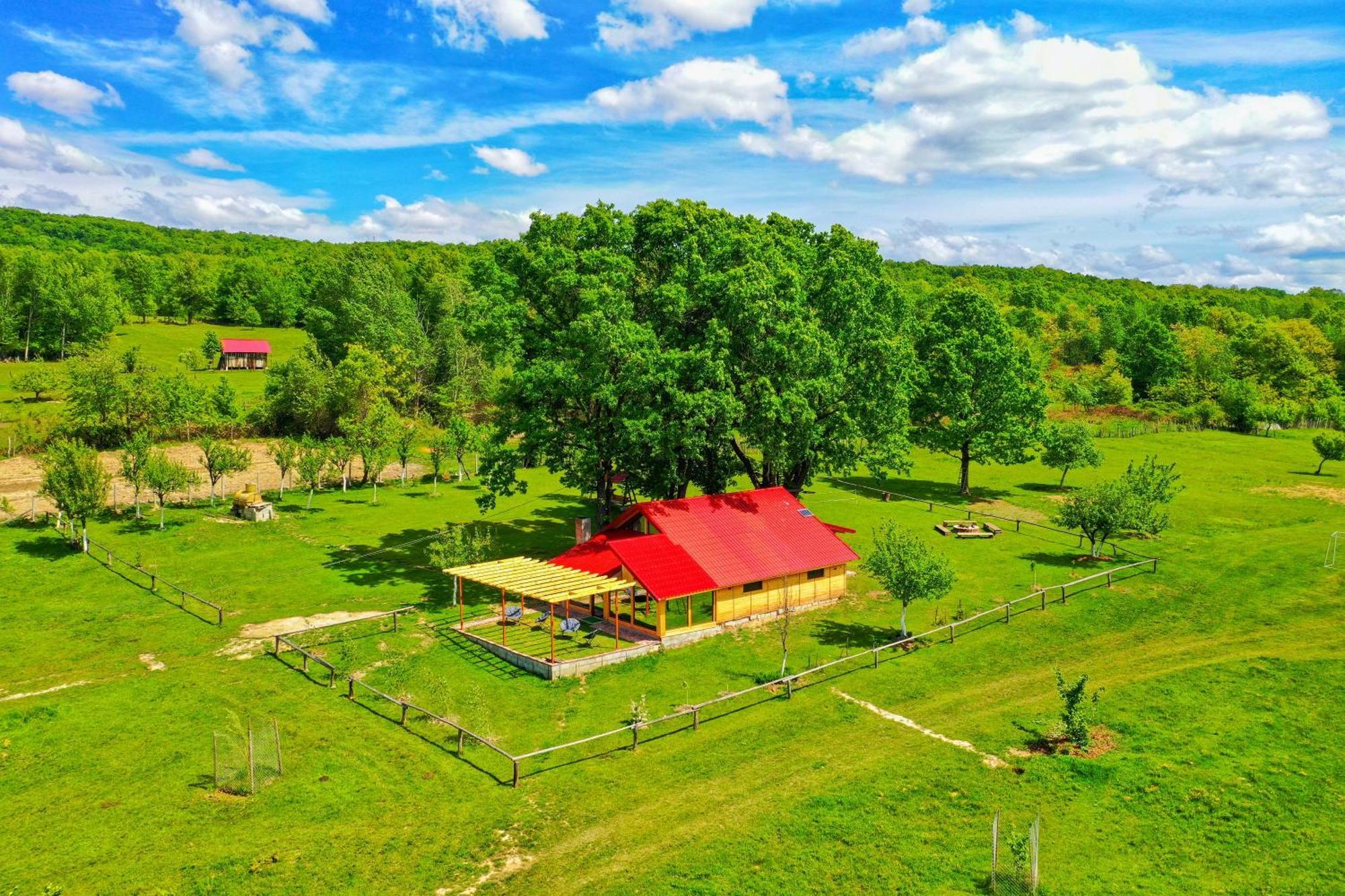 Casuta Din Stejari-Transalpina Novaci-Străini Exterior foto